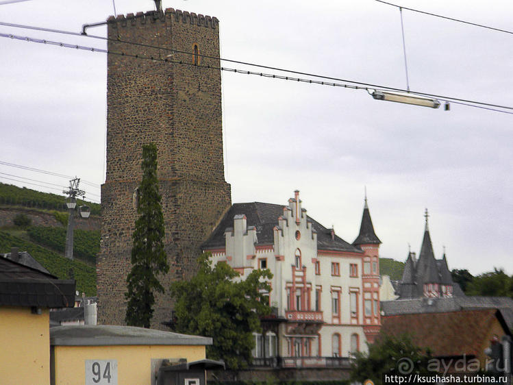 Над виноградниками Рюдесхайма