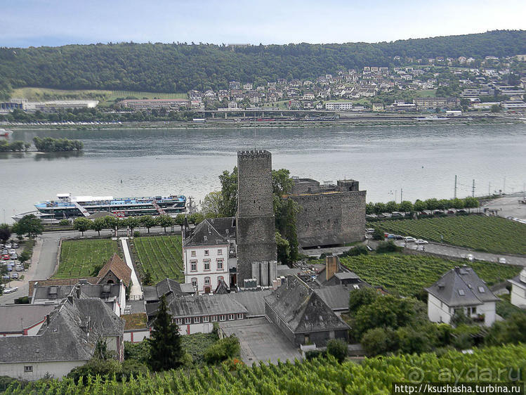 Над виноградниками Рюдесхайма