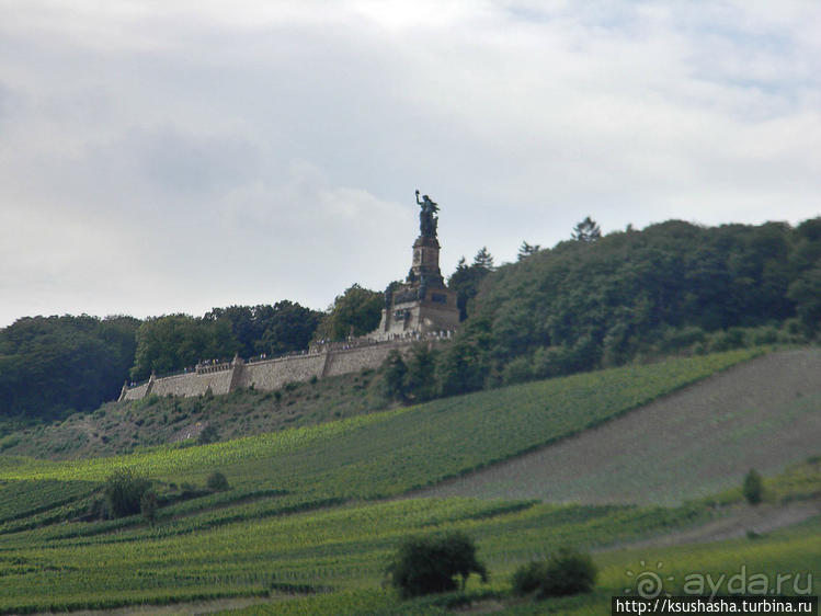 Над виноградниками Рюдесхайма