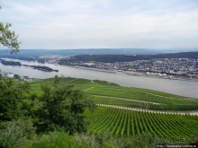 Над виноградниками Рюдесхайма