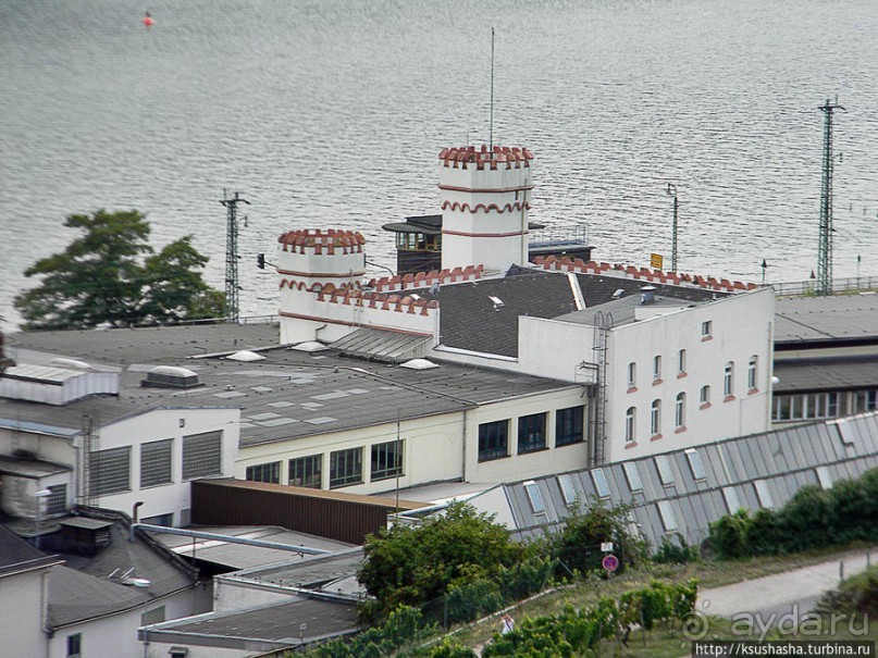 Над виноградниками Рюдесхайма