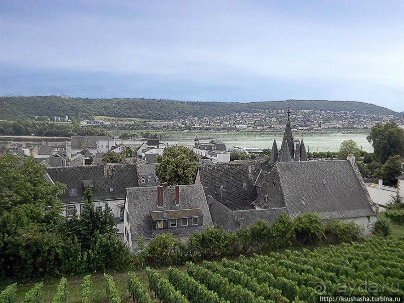 Над виноградниками Рюдесхайма