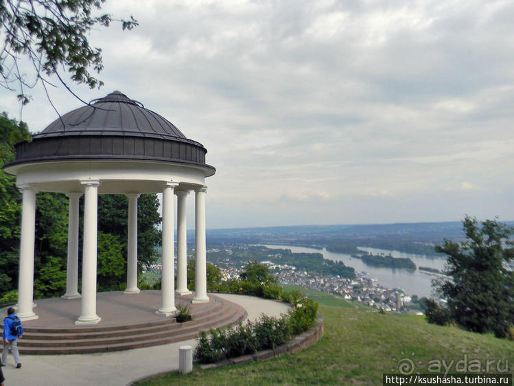 Над виноградниками Рюдесхайма