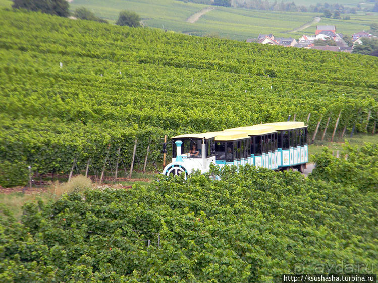 Над виноградниками Рюдесхайма
