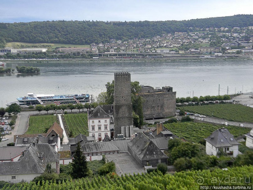 Над виноградниками Рюдесхайма