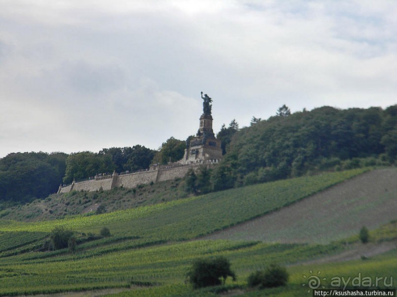 Над виноградниками Рюдесхайма