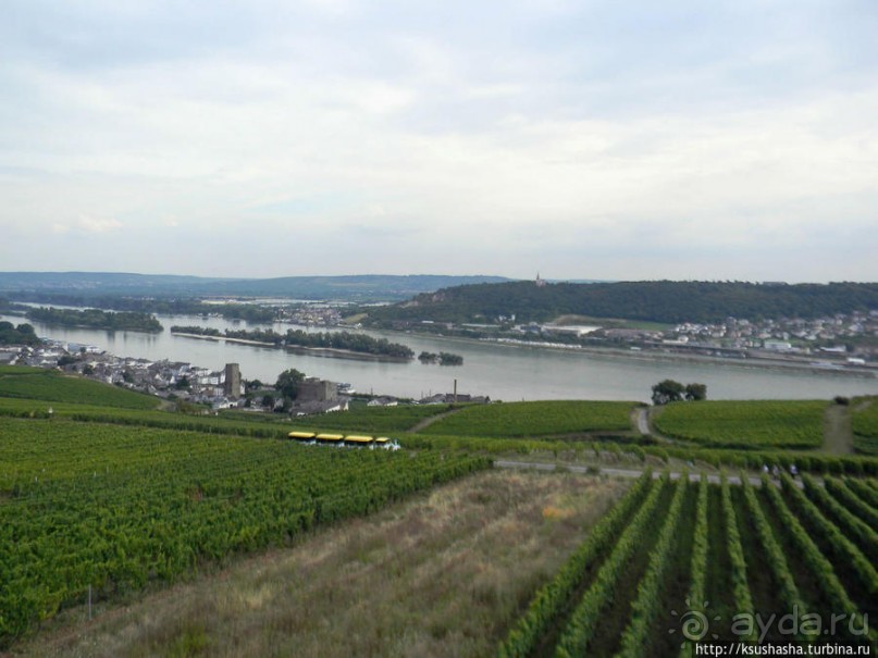 Над виноградниками Рюдесхайма