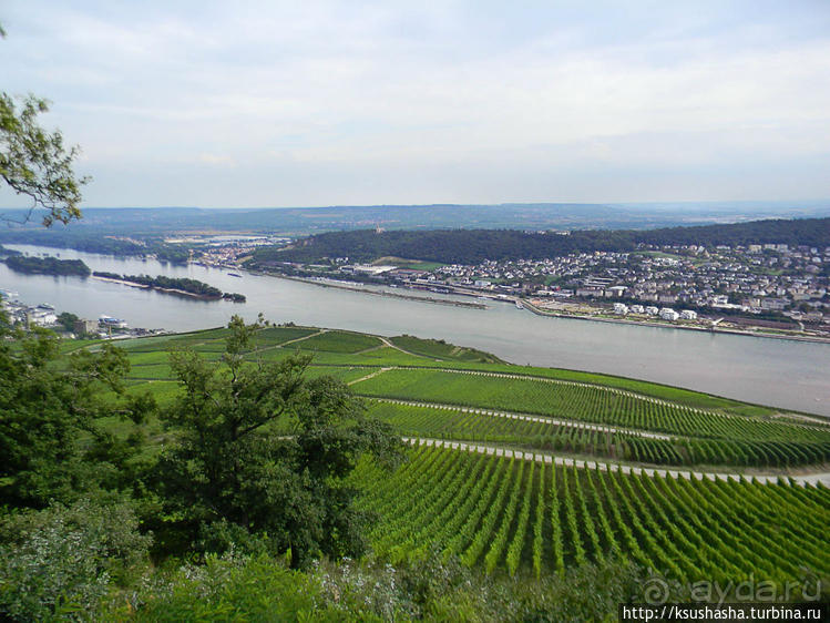 Над виноградниками Рюдесхайма