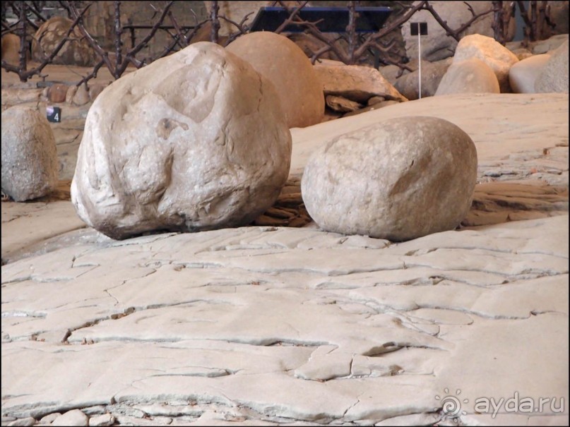 Ледниковый сад