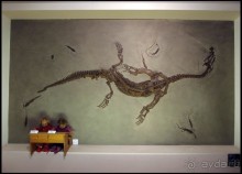 Ледниковый сад