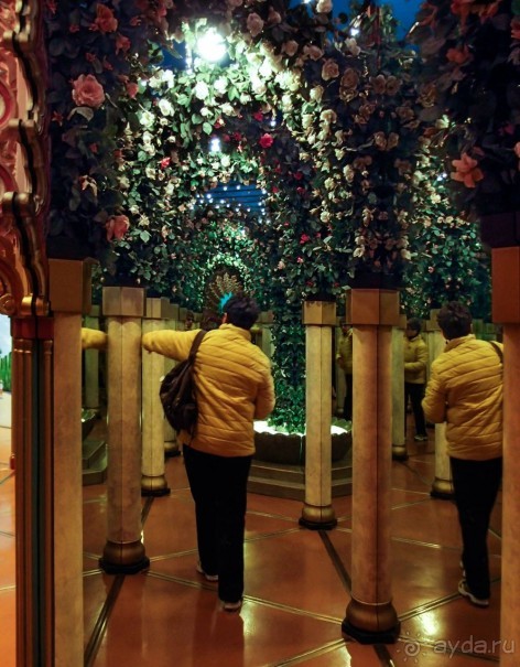 Ледниковый сад