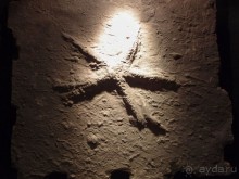 Ледниковый сад