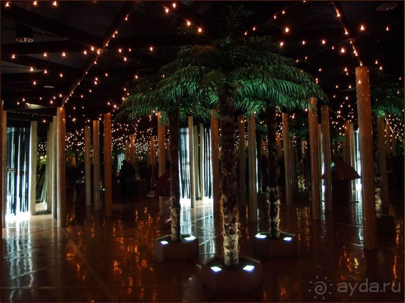 Ледниковый сад