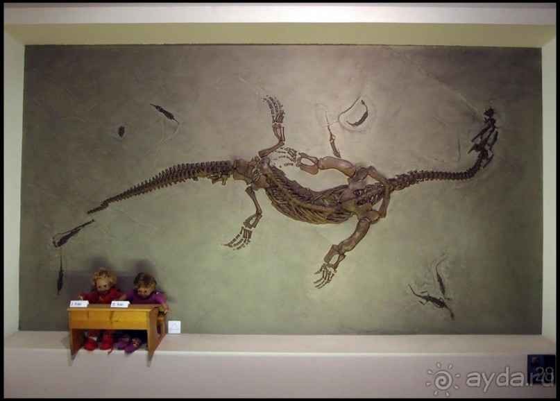 Ледниковый сад