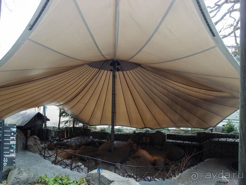 Ледниковый сад Ледниковый сад