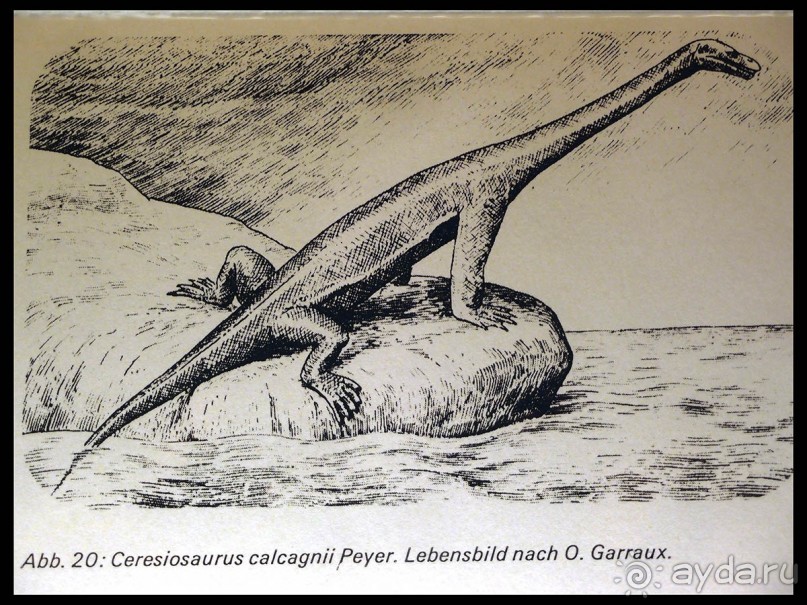 Ледниковый сад Ледниковый сад