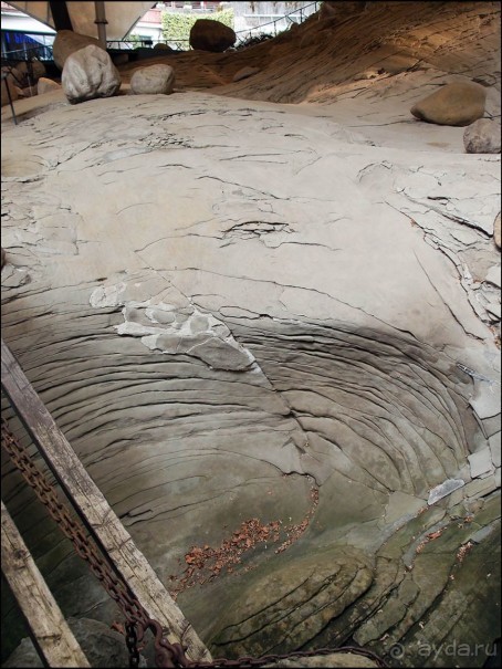 Ледниковый сад