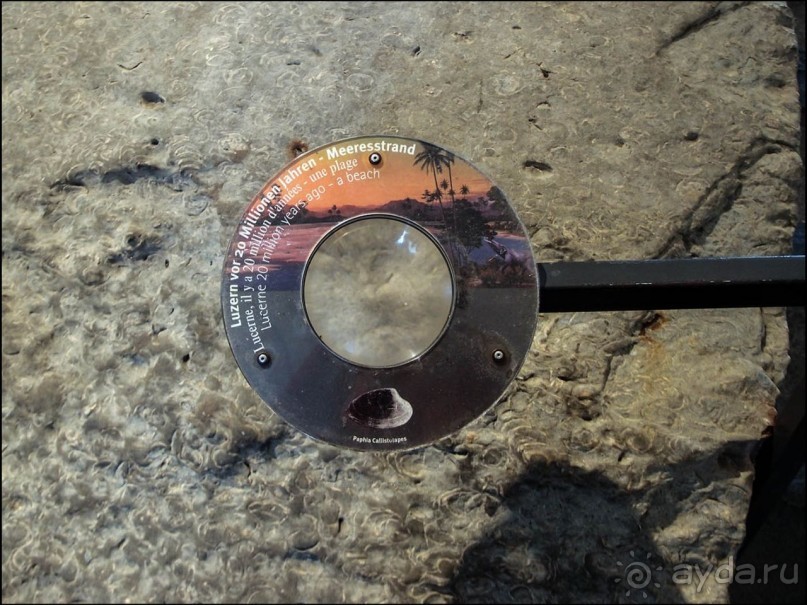 Ледниковый сад