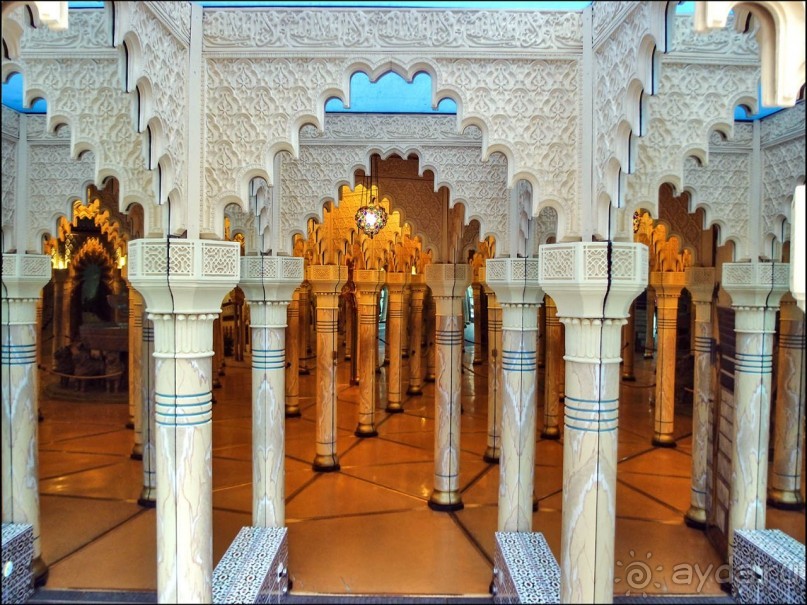 Ледниковый сад Ледниковый сад