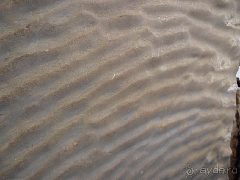 Ледниковый сад