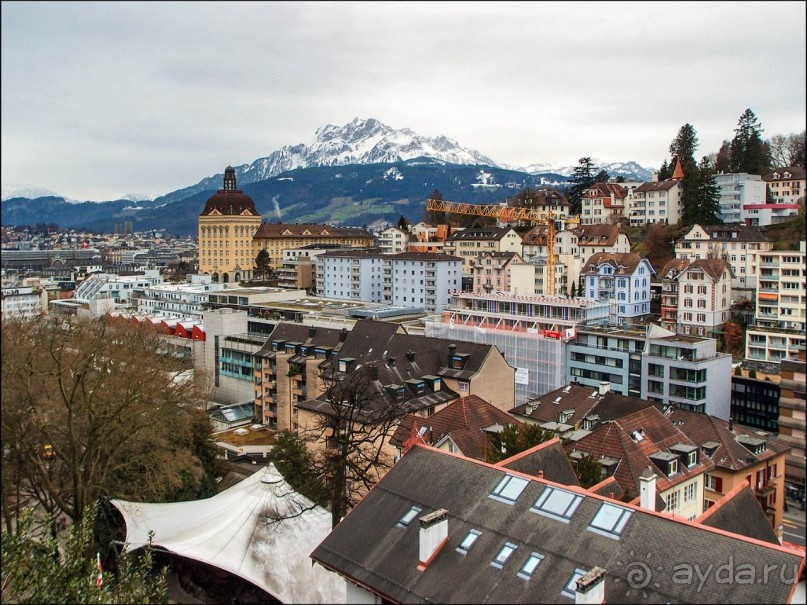 Ледниковый сад