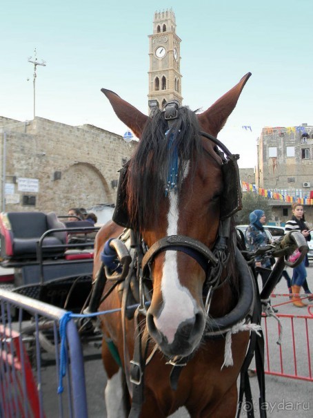 10 вещей, которые нужно сделать в Акко