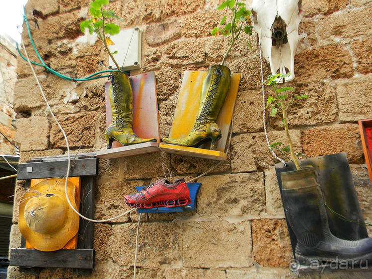 10 вещей, которые нужно сделать в Акко