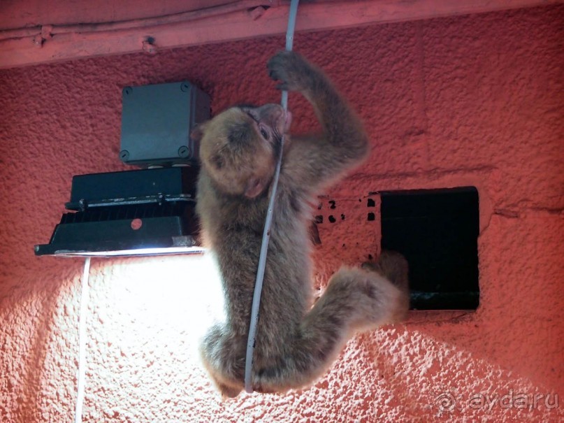 Встреча с Гибралтаром. День в особом мире