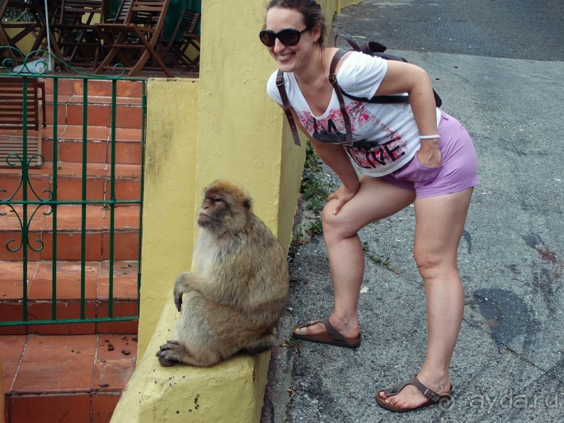 Встреча с Гибралтаром. День в особом мире