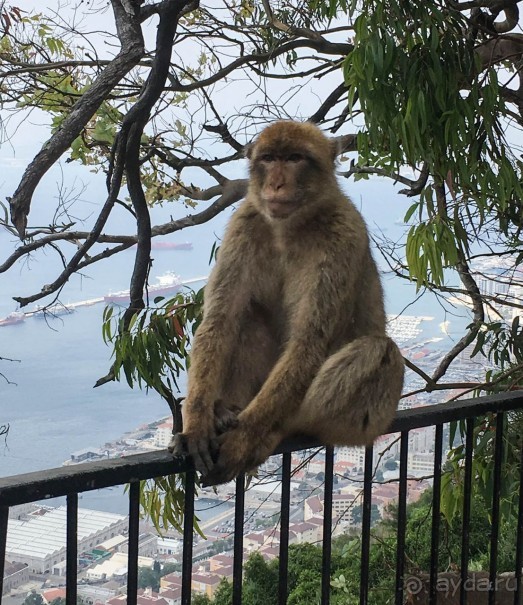 Встреча с Гибралтаром. День в особом мире