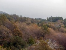 Мир Мунтаньи