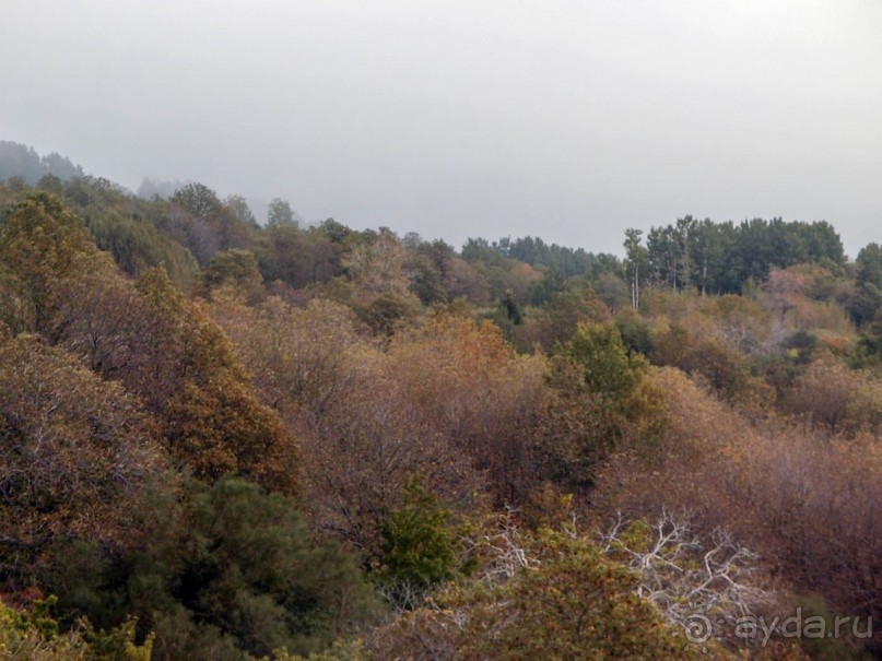 Мир Мунтаньи