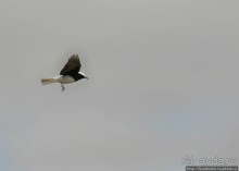 Гора Сдом - соляное чудо Израиля