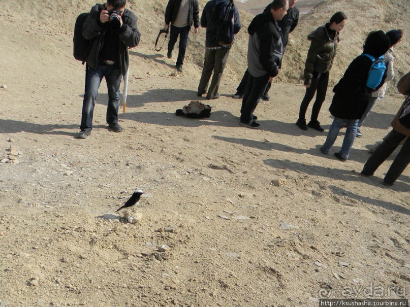 Гора Сдом - соляное чудо Израиля