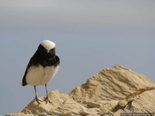 Гора Сдом - соляное чудо Израиля