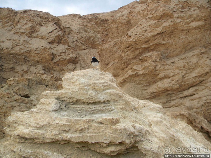 Гора Сдом - соляное чудо Израиля