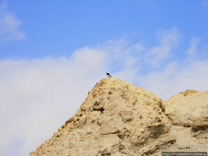 Гора Сдом - соляное чудо Израиля