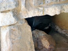 Волшебство пустыни. Махтеш Рамон