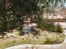 Волшебство пустыни. Махтеш Рамон