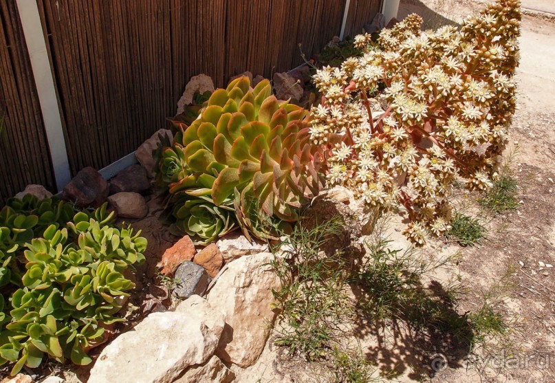 Волшебство пустыни. Махтеш Рамон