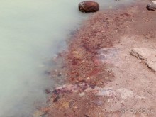 Волшебство пустыни. Махтеш Рамон