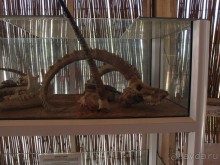 Волшебство пустыни. Махтеш Рамон