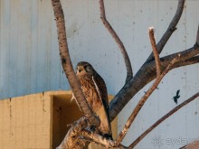 Волшебство пустыни. Махтеш Рамон