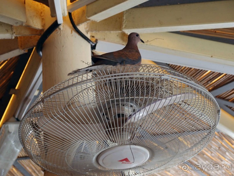 Волшебство пустыни. Махтеш Рамон