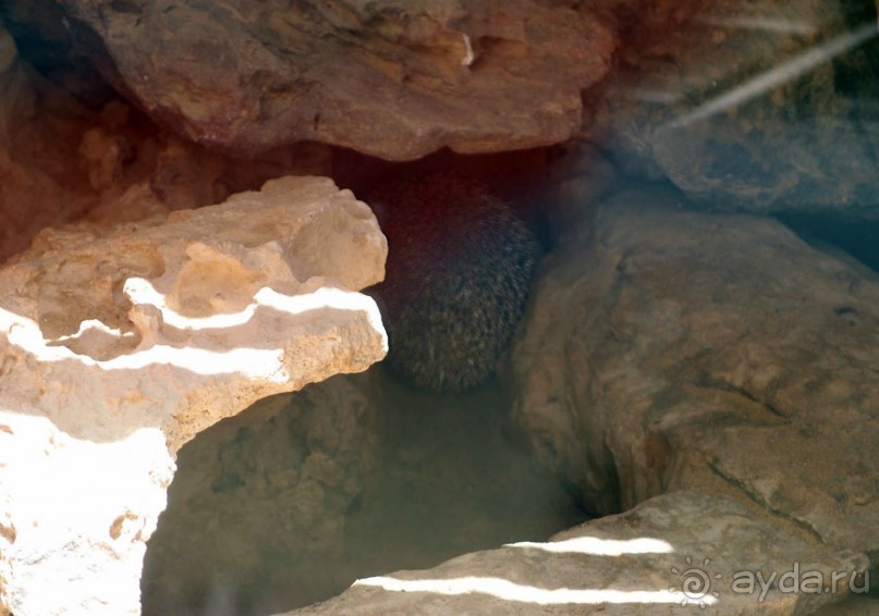 Волшебство пустыни. Махтеш Рамон