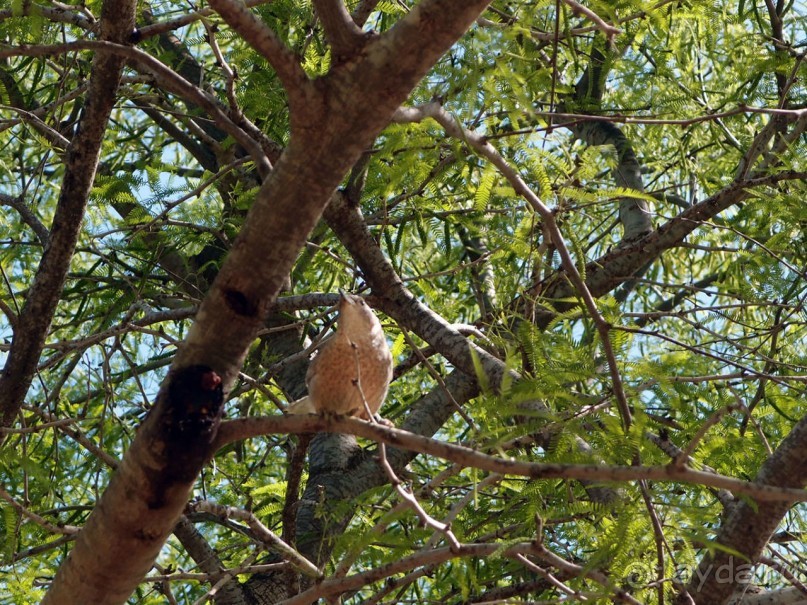 Волшебство пустыни. Махтеш Рамон