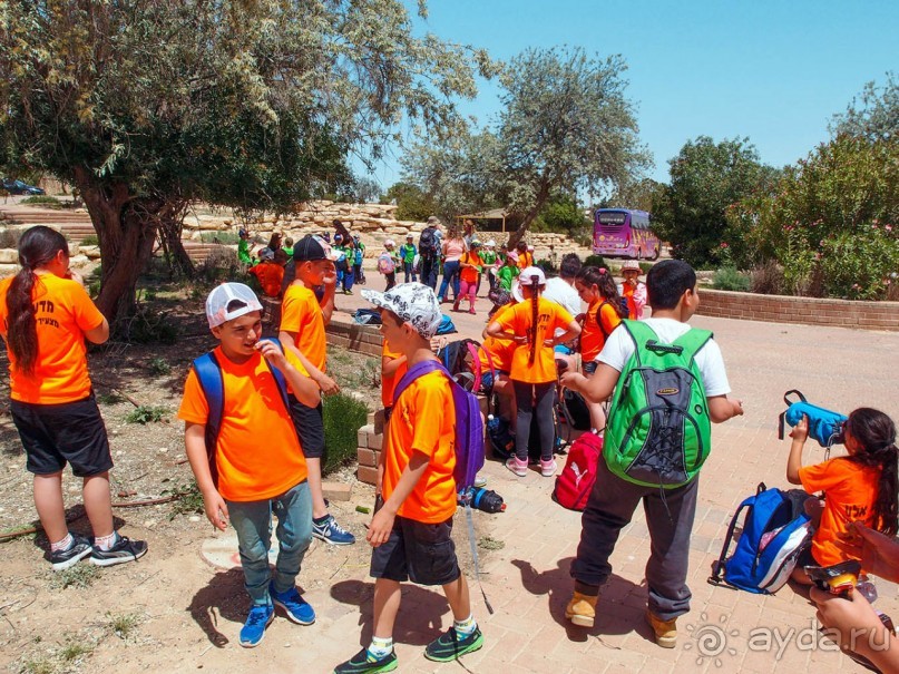 Волшебство пустыни. Махтеш Рамон