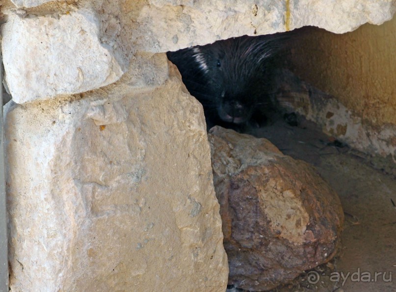 Волшебство пустыни. Махтеш Рамон