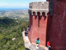 Культурная икона Португалии