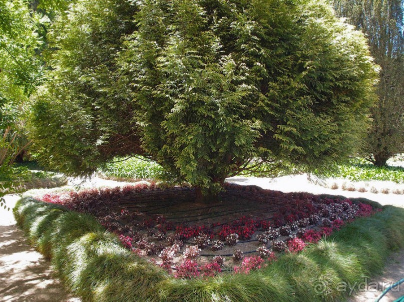 Культурная икона Португалии